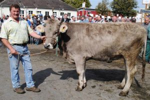 miss rind ob monarch larida urs reichmuth altendorf